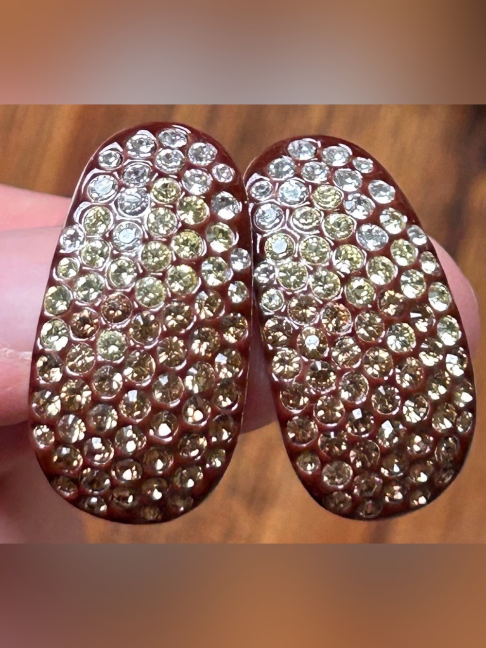 Vintage FAC Butler Rhinestone Ombré Silver Tone Clip On Earrings Earth